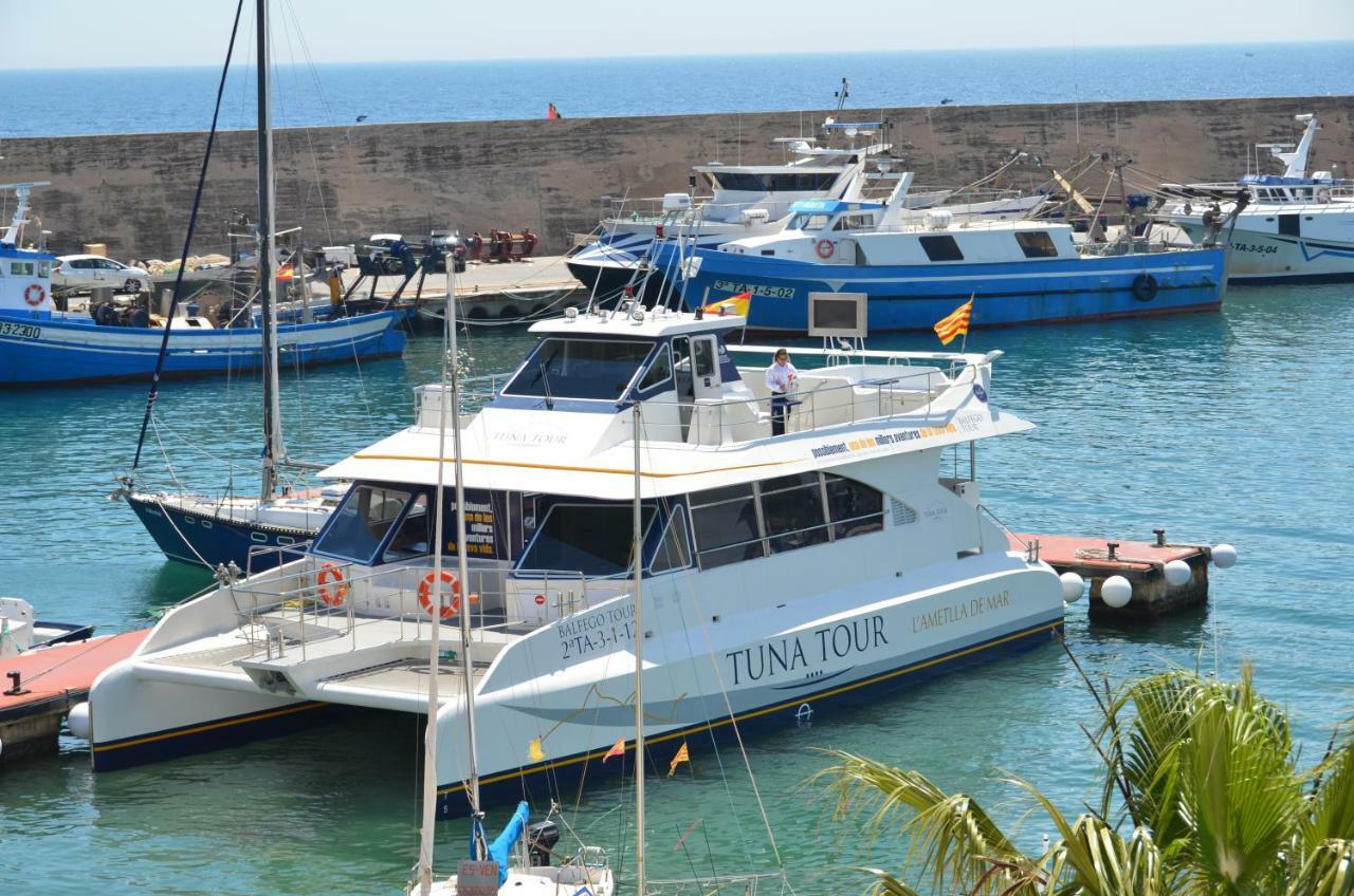 Casa Cleo Daire L'Ametlla de Mar Dış mekan fotoğraf