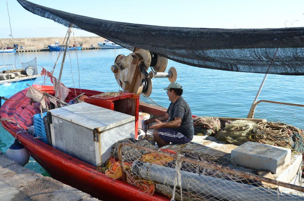 Casa Cleo Daire L'Ametlla de Mar Dış mekan fotoğraf